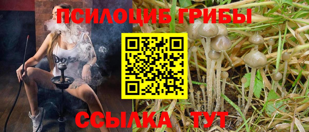 Галлюциногенные грибы Cubensis  Вход с VPN  Псилоцибиновые грибы MAGIC MUSHROOMS  Кинель 