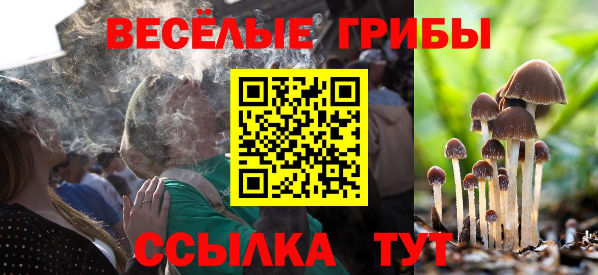 Псилоцибиновые грибы мицелий Кинель