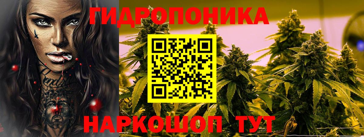Бошки марихуана планчик  Вход с VPN  Конопля OG Kush  Кинель  Бошки Шишки MAZAR 